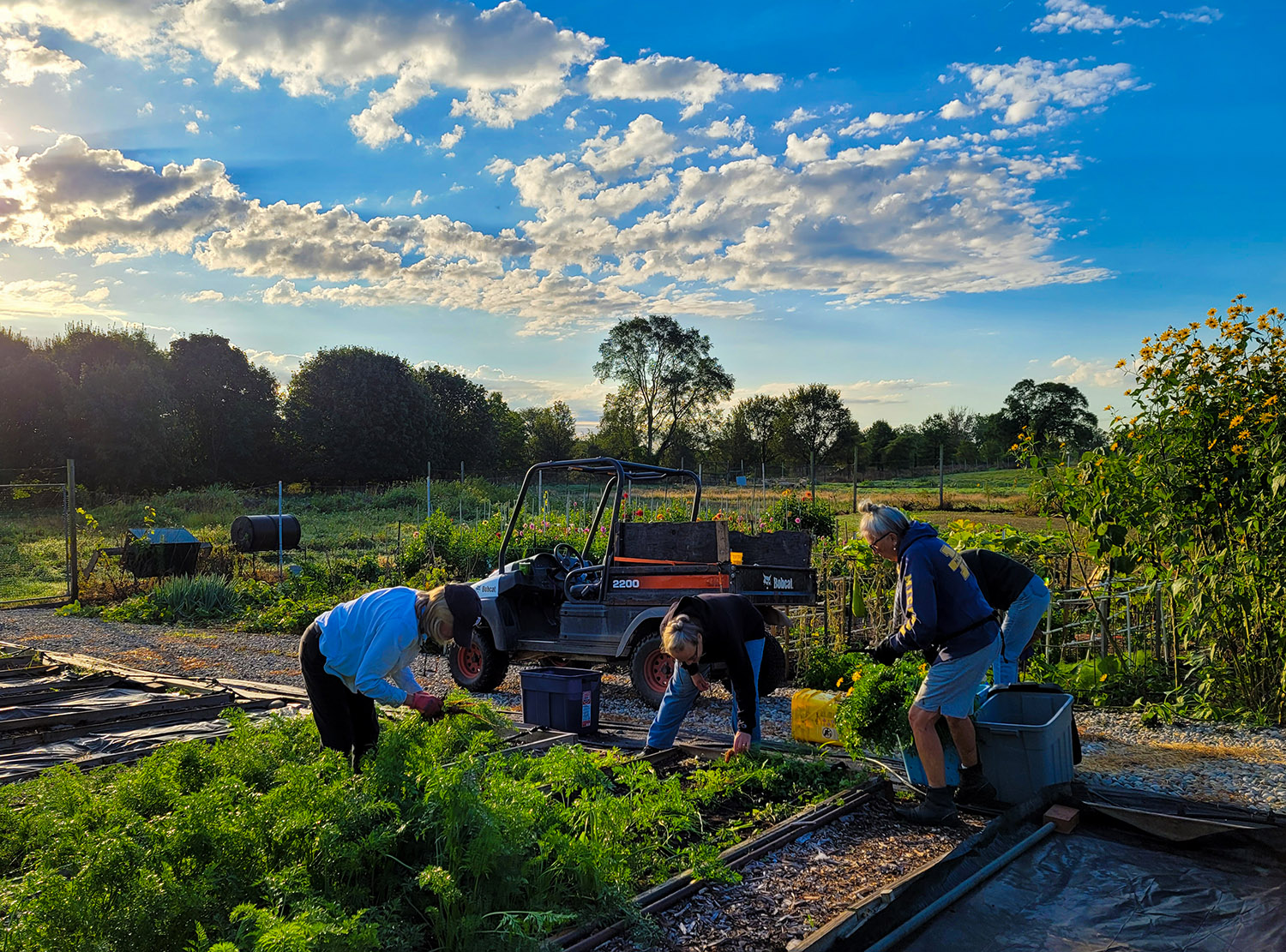 PAR sept morning harvest2021_LL